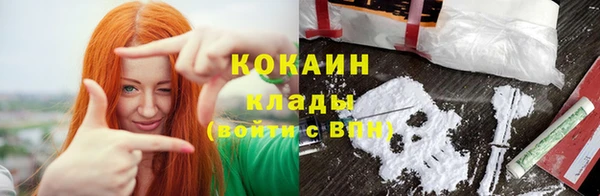 дмт Касимов