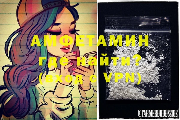 дмт Касимов