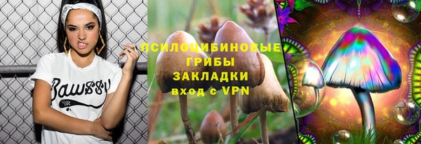 марки nbome Карпинск