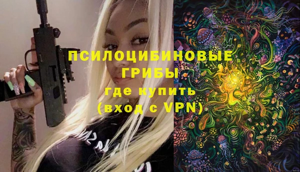 дмт Касимов