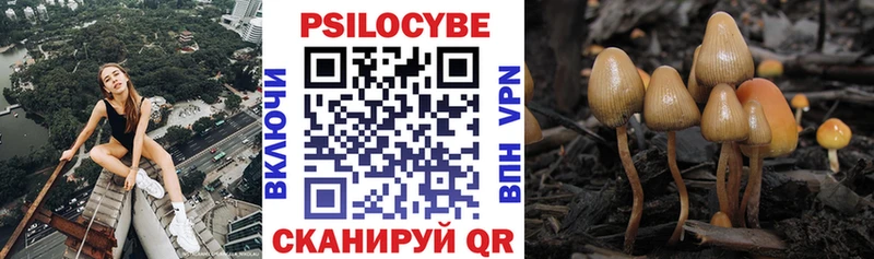 Купить закладки  Дрезна  Галлюциногенные грибы ЛСД 