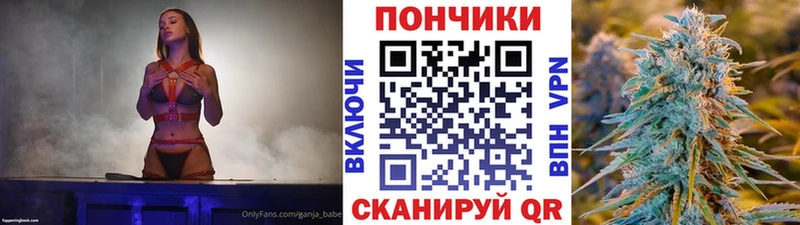 Купить  Дрезна  Канабис OG Kush 
